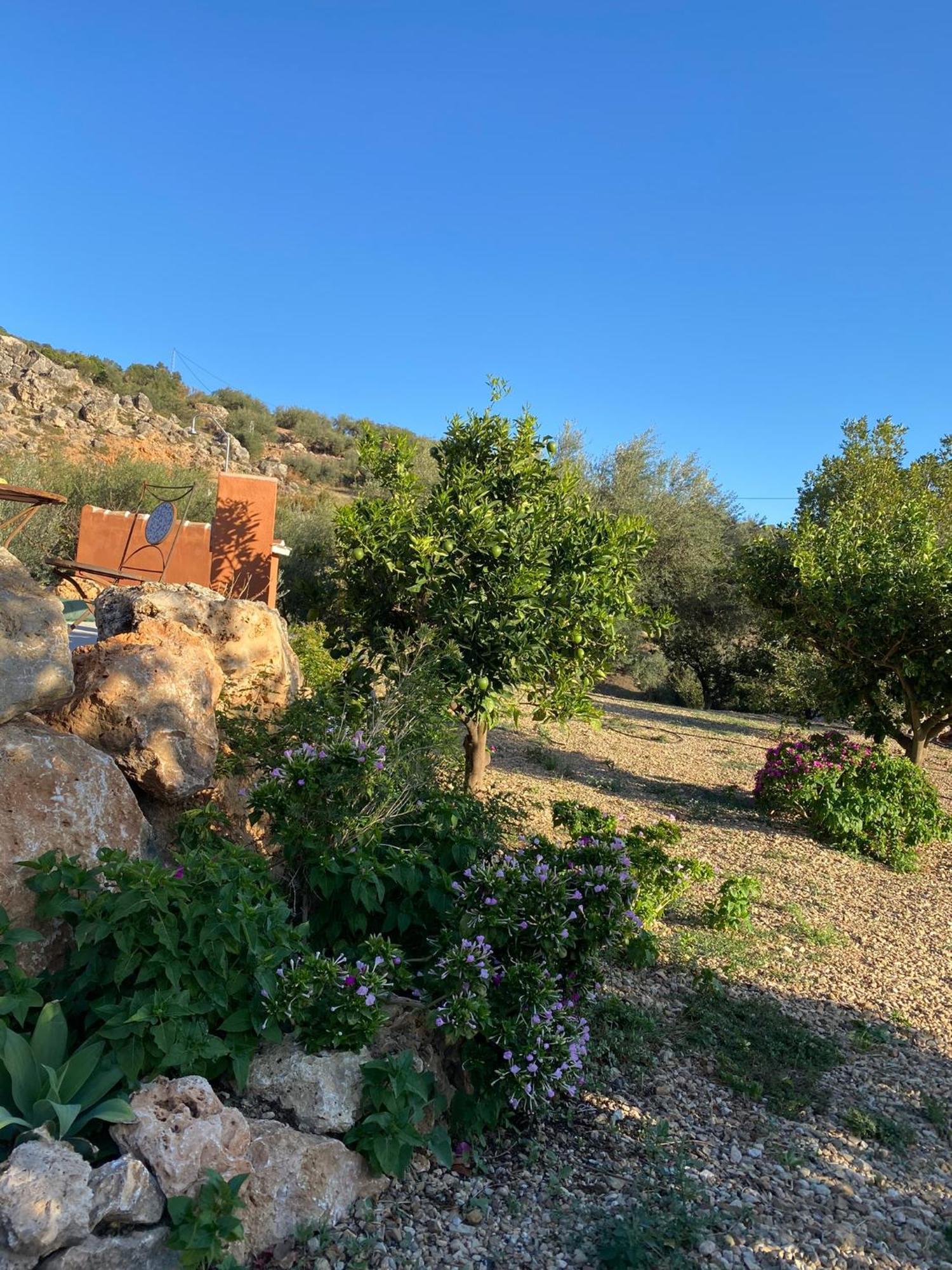 Casa Rural Antonio Y Esperanza 佩里那 外观 照片